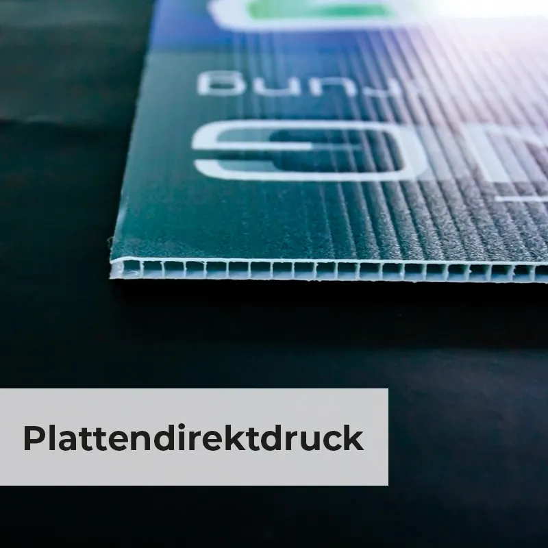Wandgestaltung Empfang